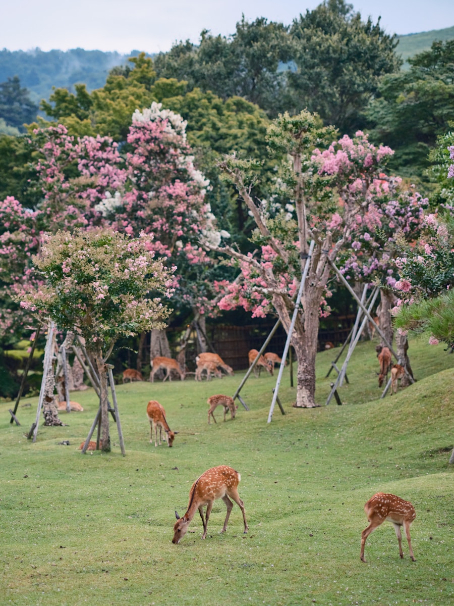 A herd of deer grazing on a lush green field