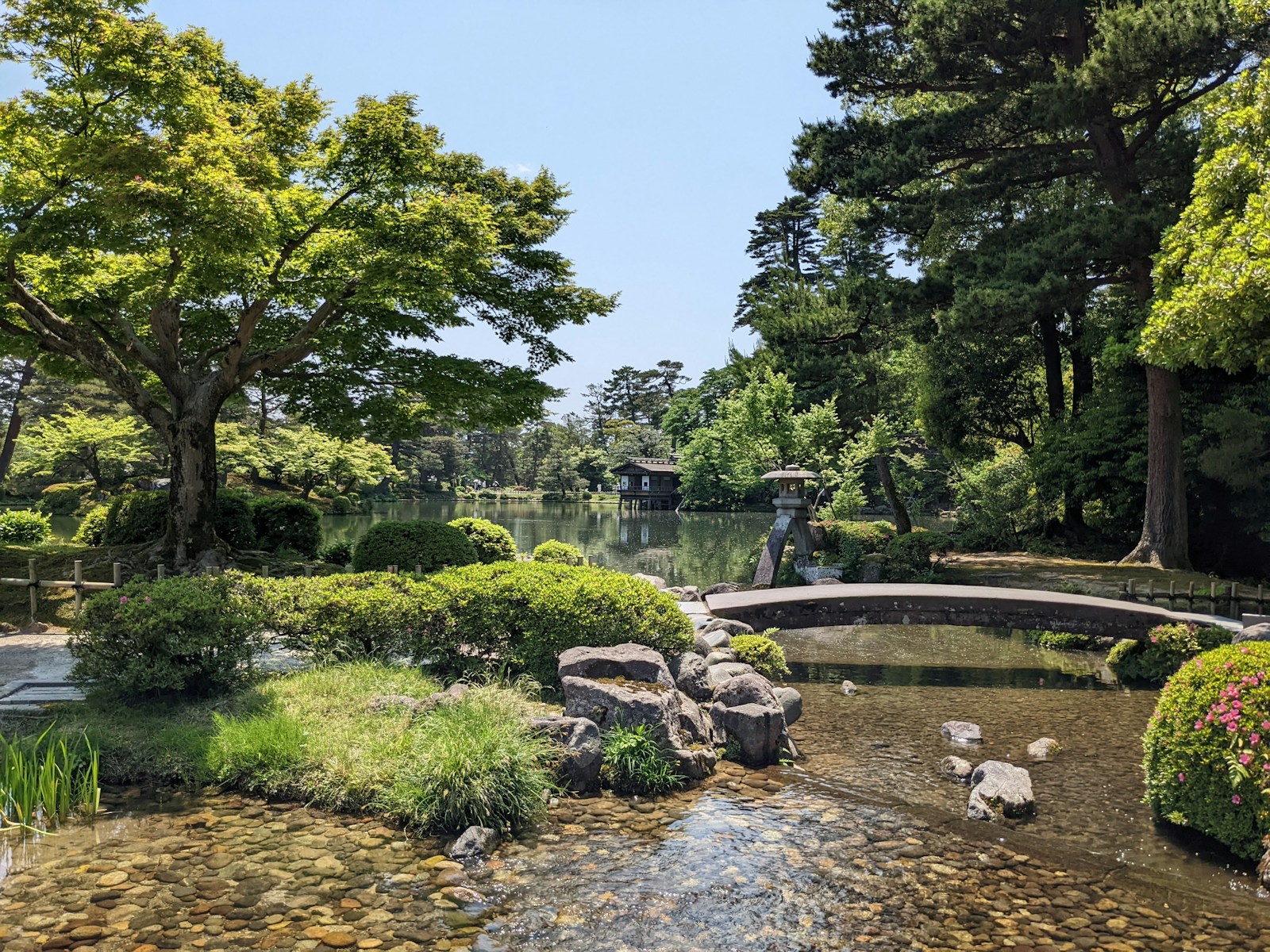 a pond with a bridge and trees