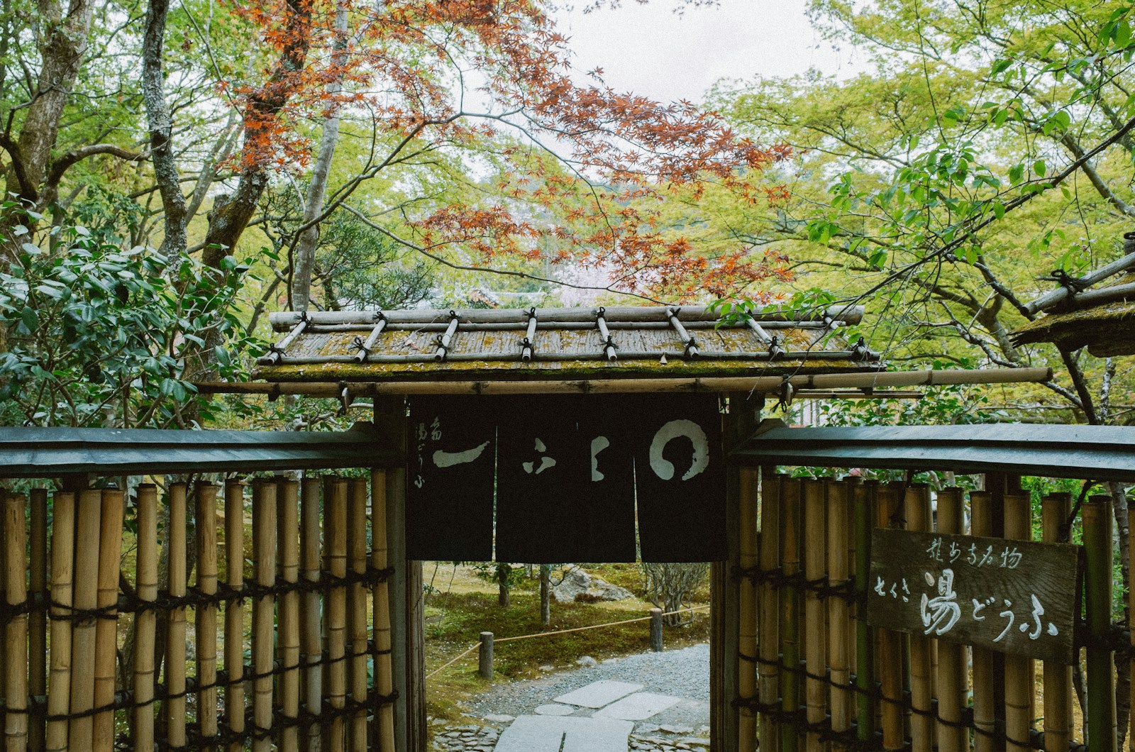 Traditional japanese gate with autumn foliage overhead